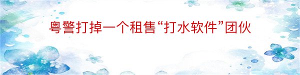 粤警打掉一个租售“打水软件”团伙