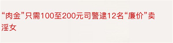 “肉金”只需100至200元司警逮12名“廉价”卖淫女